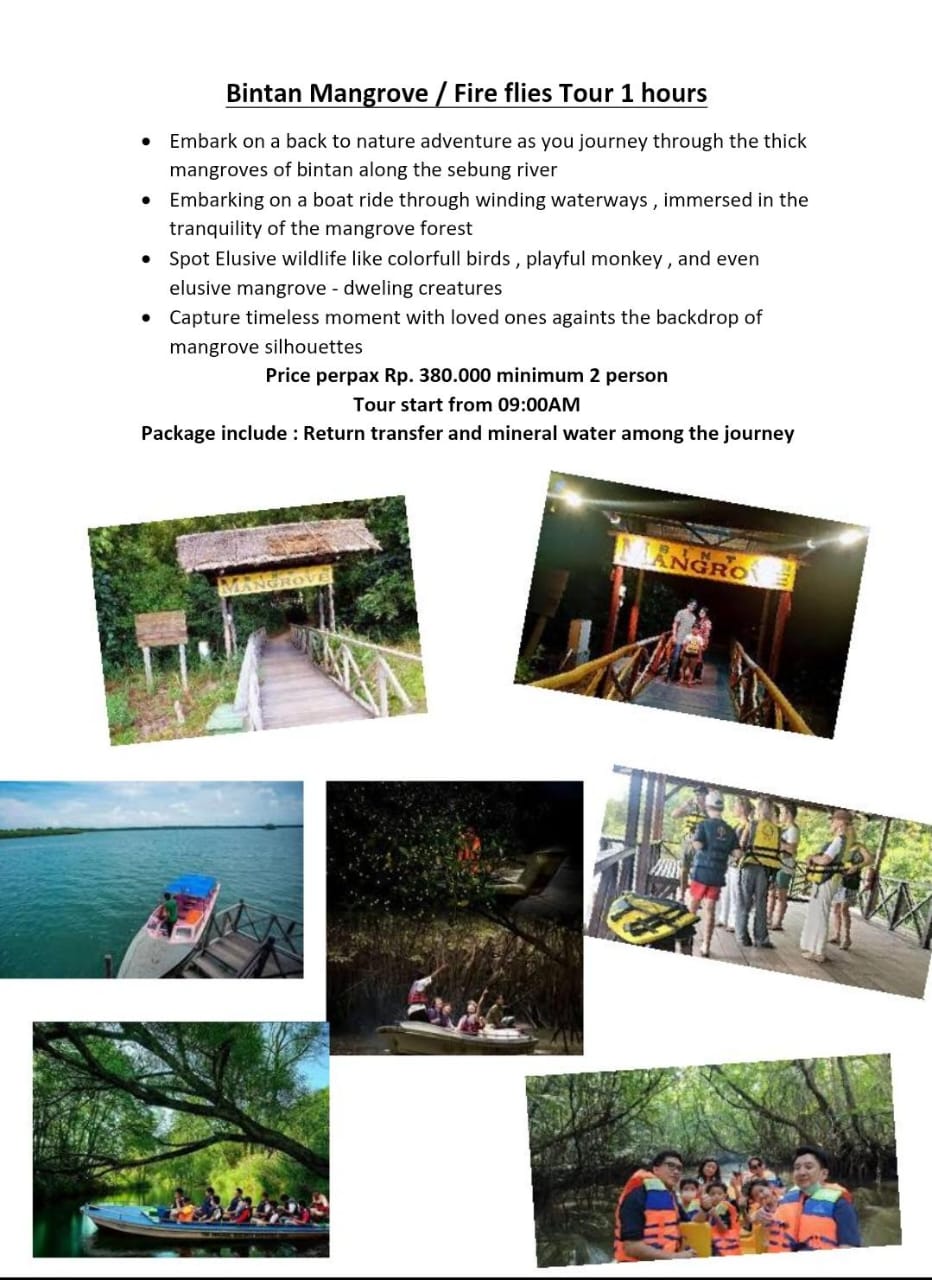 Bintan Mangrove / Fire Flies Tour